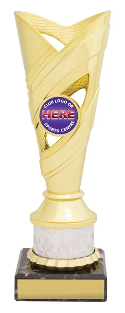 n0073_discount-netball-trophies.jpg