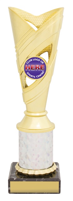 n0073_discount-netball-trophies.jpg