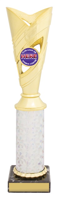 n0073_discount-netball-trophies.jpg