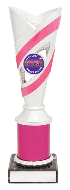 n0098_discount-netball-trophies.jpg