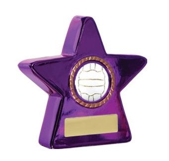n15-0911_netball-trophies.jpg