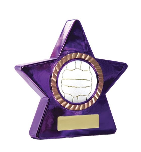 n15-0911_netball-trophies.jpg