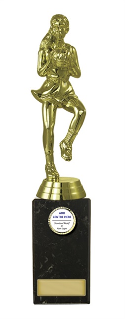 n17-1703_discount-netball-trophies.jpg