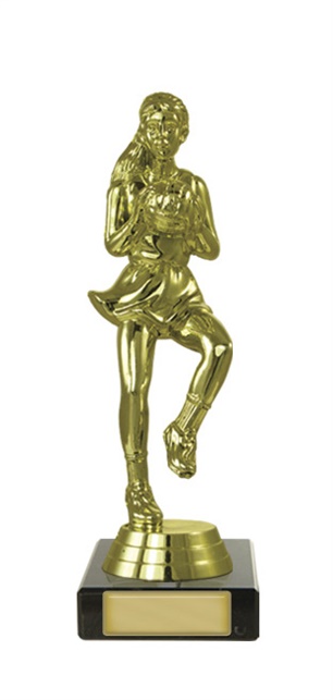 n17-1706_discount-netball-trophies.jpg