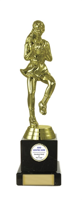 n17-1707_discount-netball-trophies.jpg