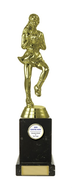 n17-1707_discount-netball-trophies.jpg