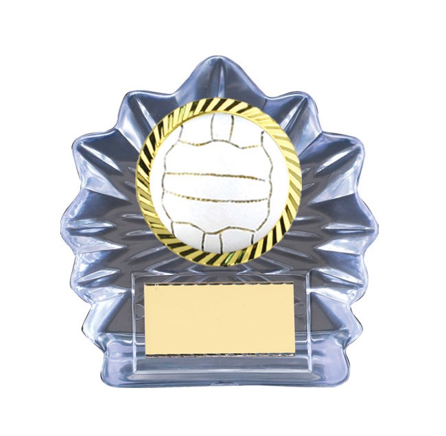 n17-1710_discount-netball-trophies.jpg