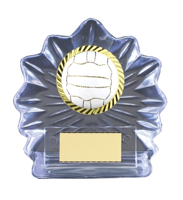 n17-1710_discount-netball-trophies.jpg