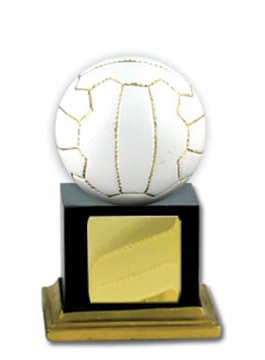 n17-1716_discount-netball-trophies.jpg