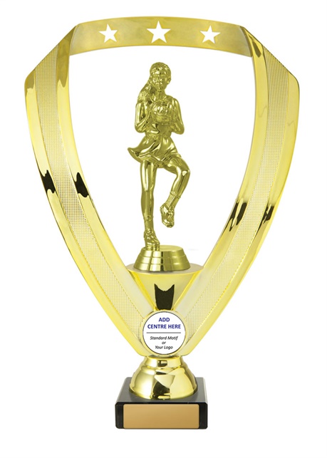 n17-1801_discount-netball-trophies.jpg