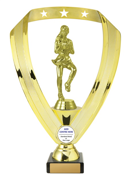 n17-1801_discount-netball-trophies.jpg