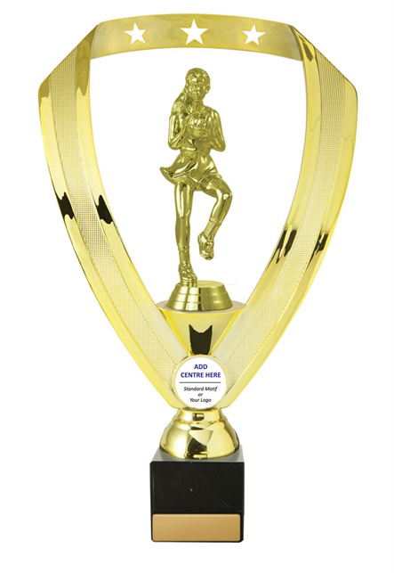 n17-1801_discount-netball-trophies.jpg