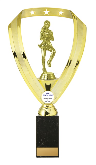 n17-1801_discount-netball-trophies.jpg