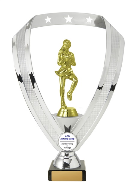 n17-1805_discount-netball-trophies.jpg