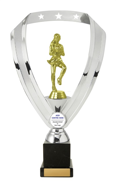 n17-1805_discount-netball-trophies.jpg