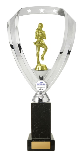 n17-1805_discount-netball-trophies.jpg