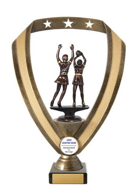 n17-1809_discount-netball-trophies.jpg