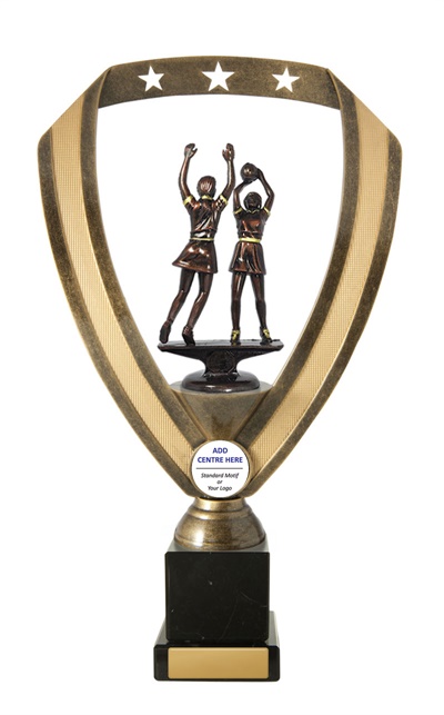 n17-1809_discount-netball-trophies.jpg