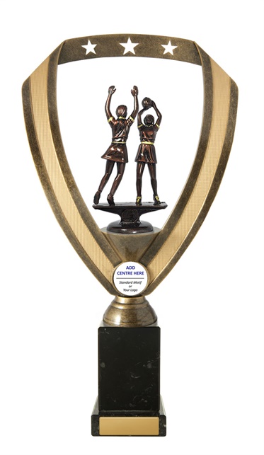 n17-1809_discount-netball-trophies.jpg