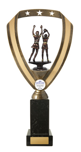 n17-1809_discount-netball-trophies.jpg