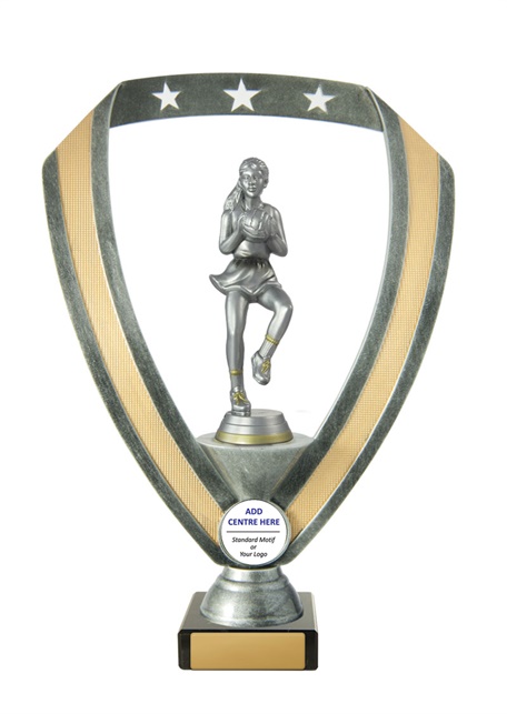 n17-1813_discount-netball-trophies.jpg