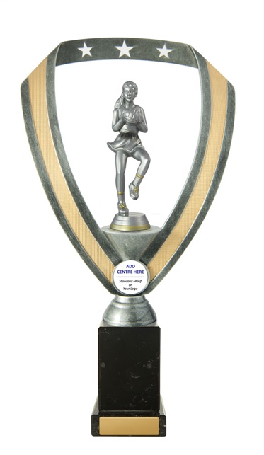 n17-1813_discount-netball-trophies.jpg