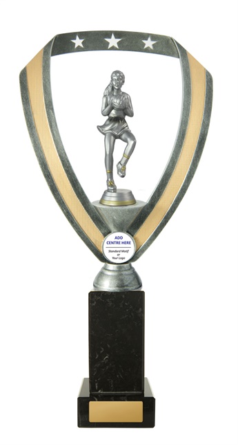 n17-1813_discount-netball-trophies.jpg