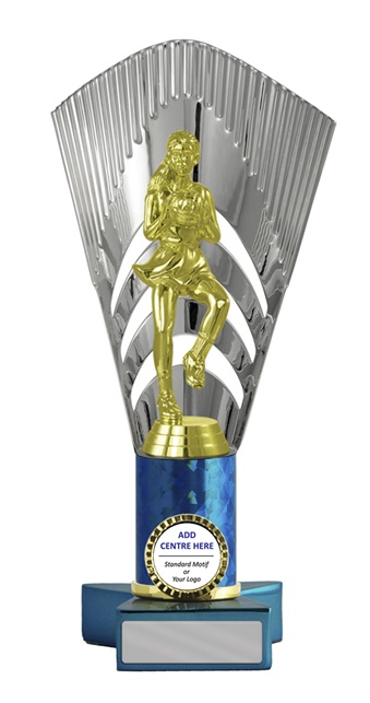 n17-1909_discount-netball-trophies.jpg