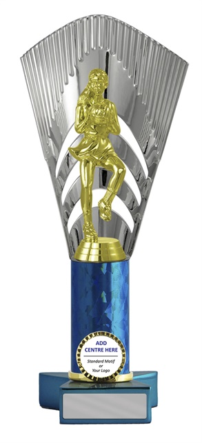 n17-1909_discount-netball-trophies.jpg