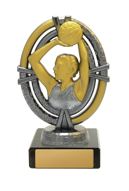 n17-2010_discount-netball-trophies.jpg