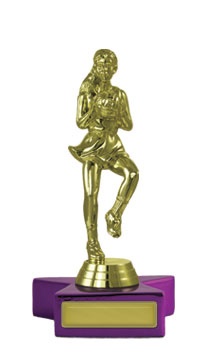 n17-2201_discount-netball-trophies.jpg