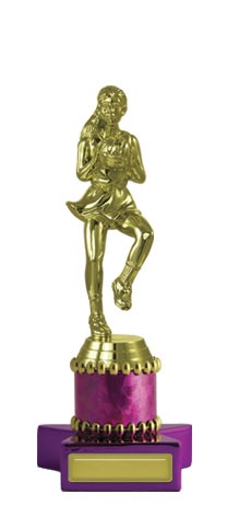 n17-2202_discount-netball-trophies.jpg