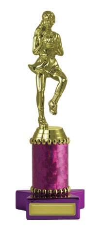 n17-2202_discount-netball-trophies.jpg