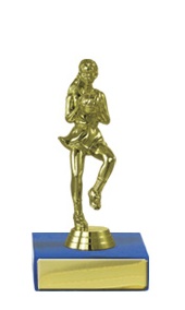 n17-2213_discount-netball-trophies.jpg