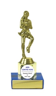 n17-2214_discount-netball-trophies.jpg