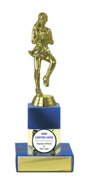 n17-2214_discount-netball-trophies.jpg