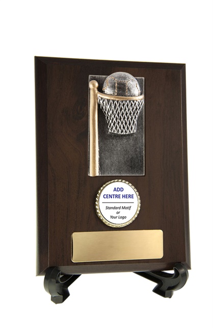 n17-2313_discount-netball-trophies.jpg
