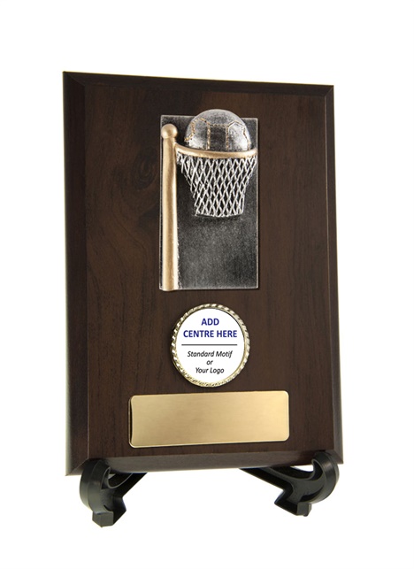 n17-2313_discount-netball-trophies.jpg
