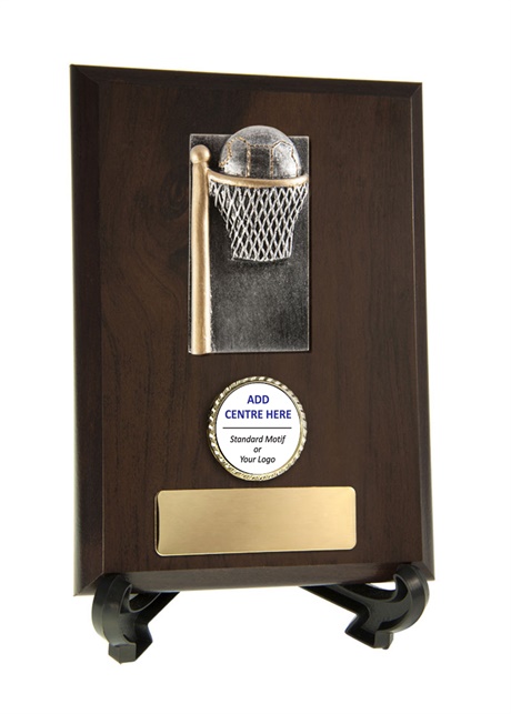 n17-2313_discount-netball-trophies.jpg
