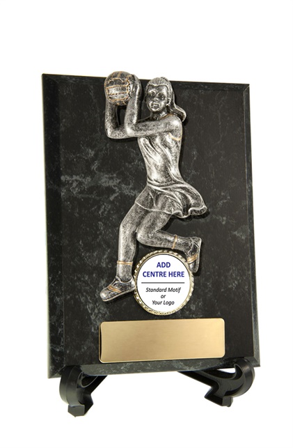 n17-2316_discount-netball-trophies.jpg