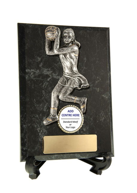 n17-2316_discount-netball-trophies.jpg