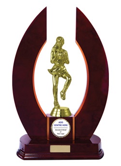 n17-2501_discount-netball-trophies.jpg