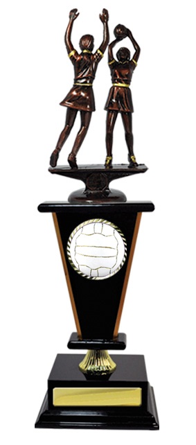 n17-2708_discount-netball-trophies.jpg