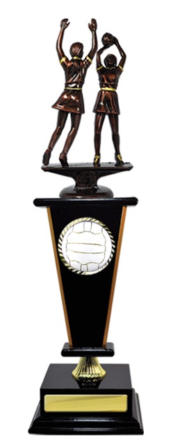 n17-2708_discount-netball-trophies.jpg