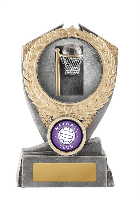 n18-0801_discount-netball-trophies.jpg