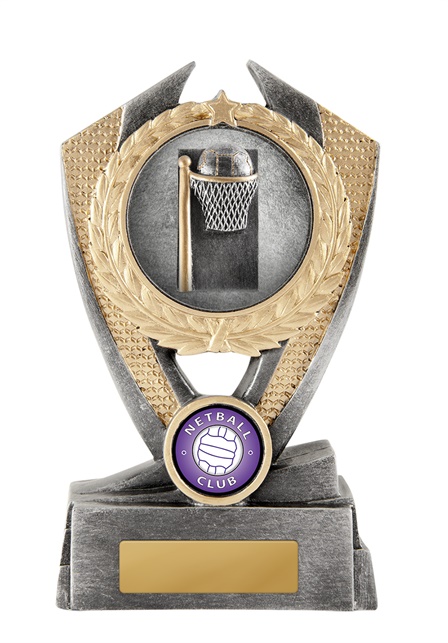 n18-0801_discount-netball-trophies.jpg