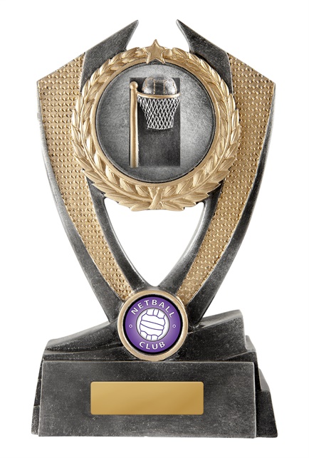 n18-0801_discount-netball-trophies.jpg