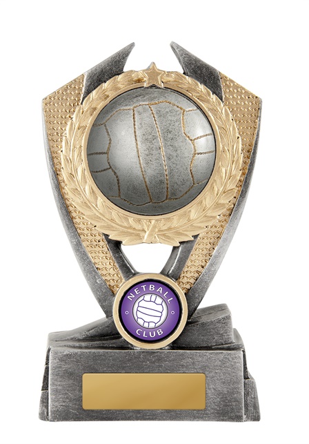 n18-0804_discount-netball-trophies.jpg