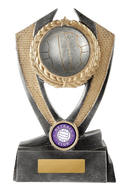 n18-0804_discount-netball-trophies.jpg