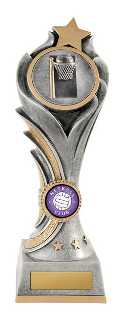 n18-0807_discount-netball-trophies.jpg